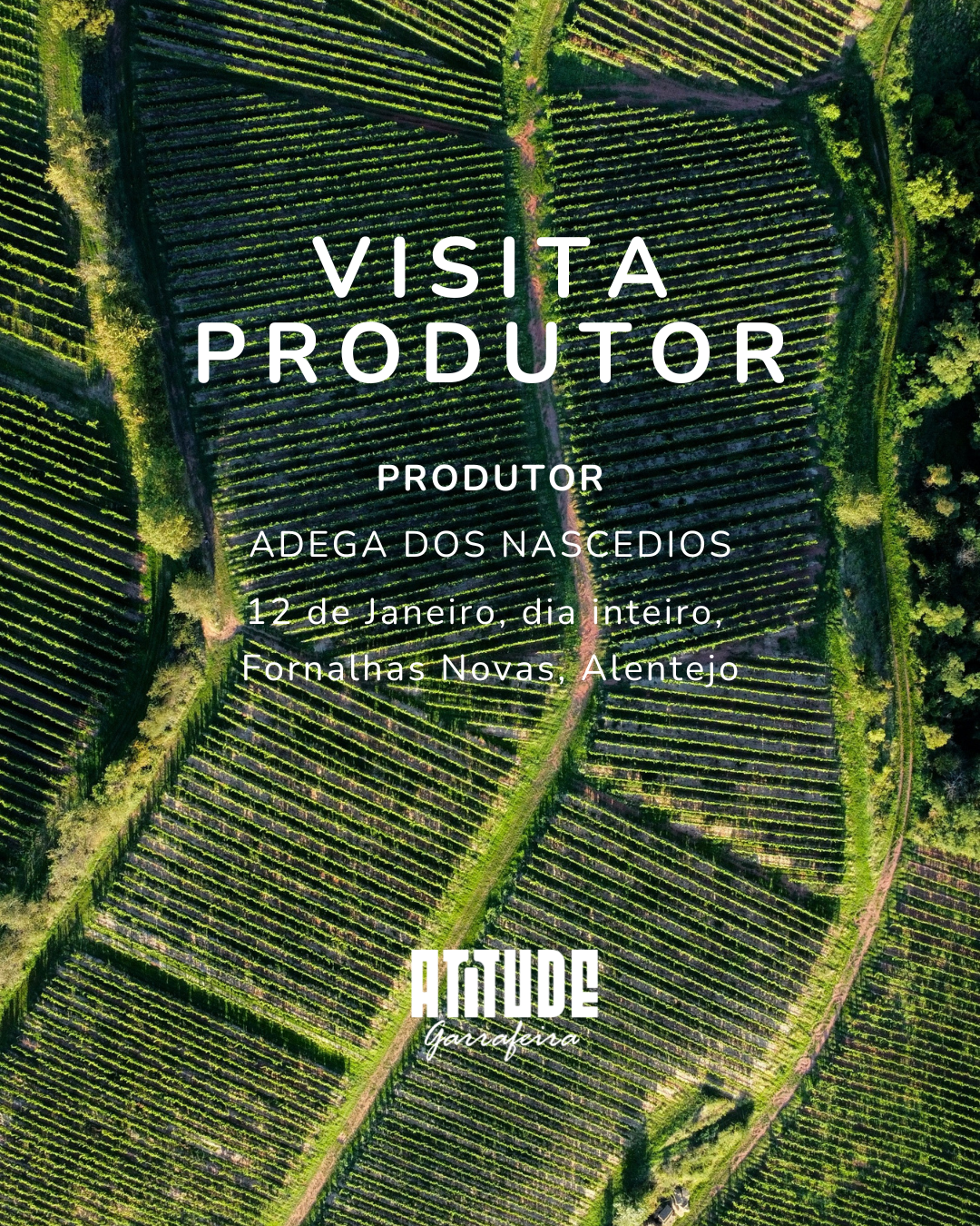 Visita a Produtor - Adega dos Nascedios