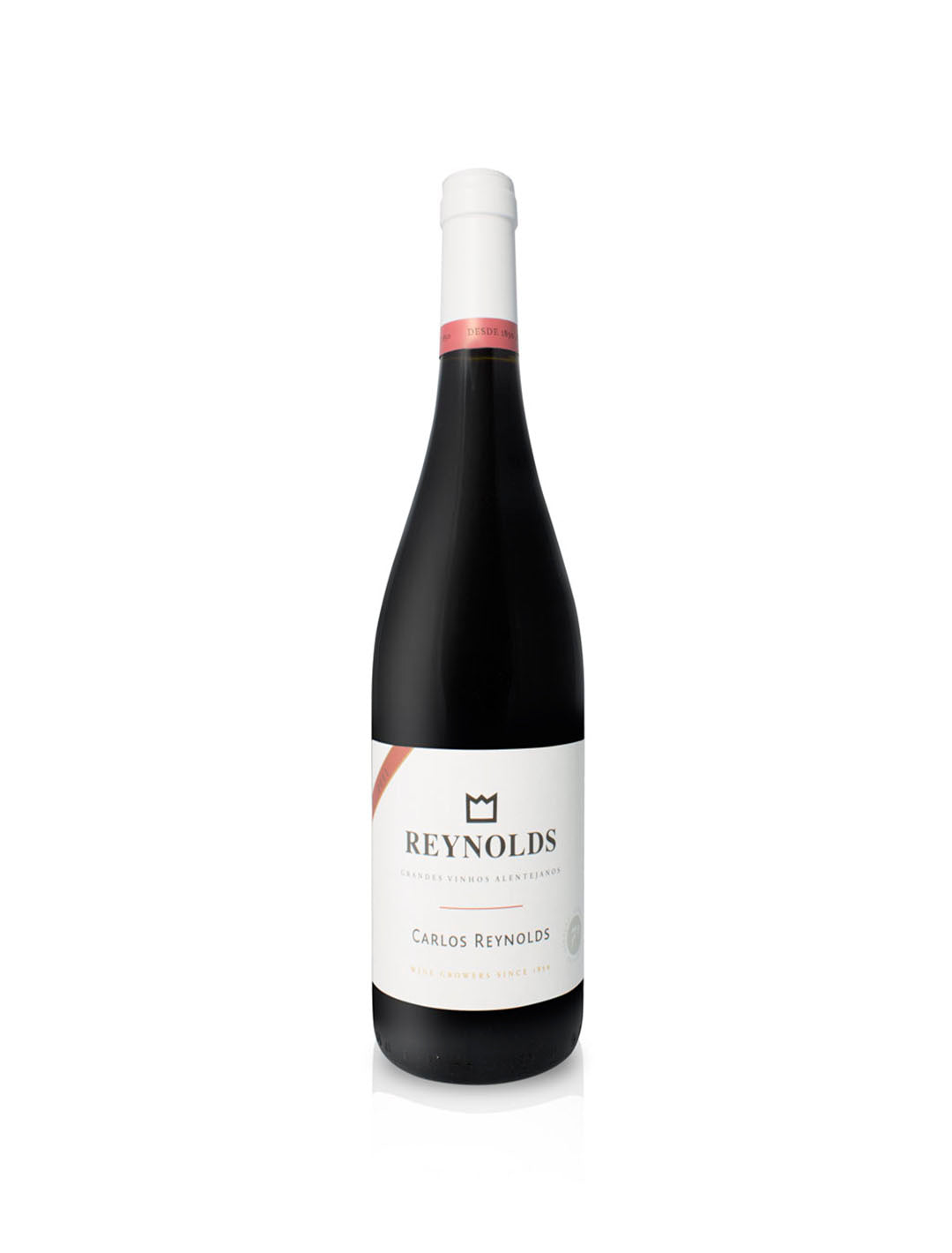 Carlos Reynolds Tinto