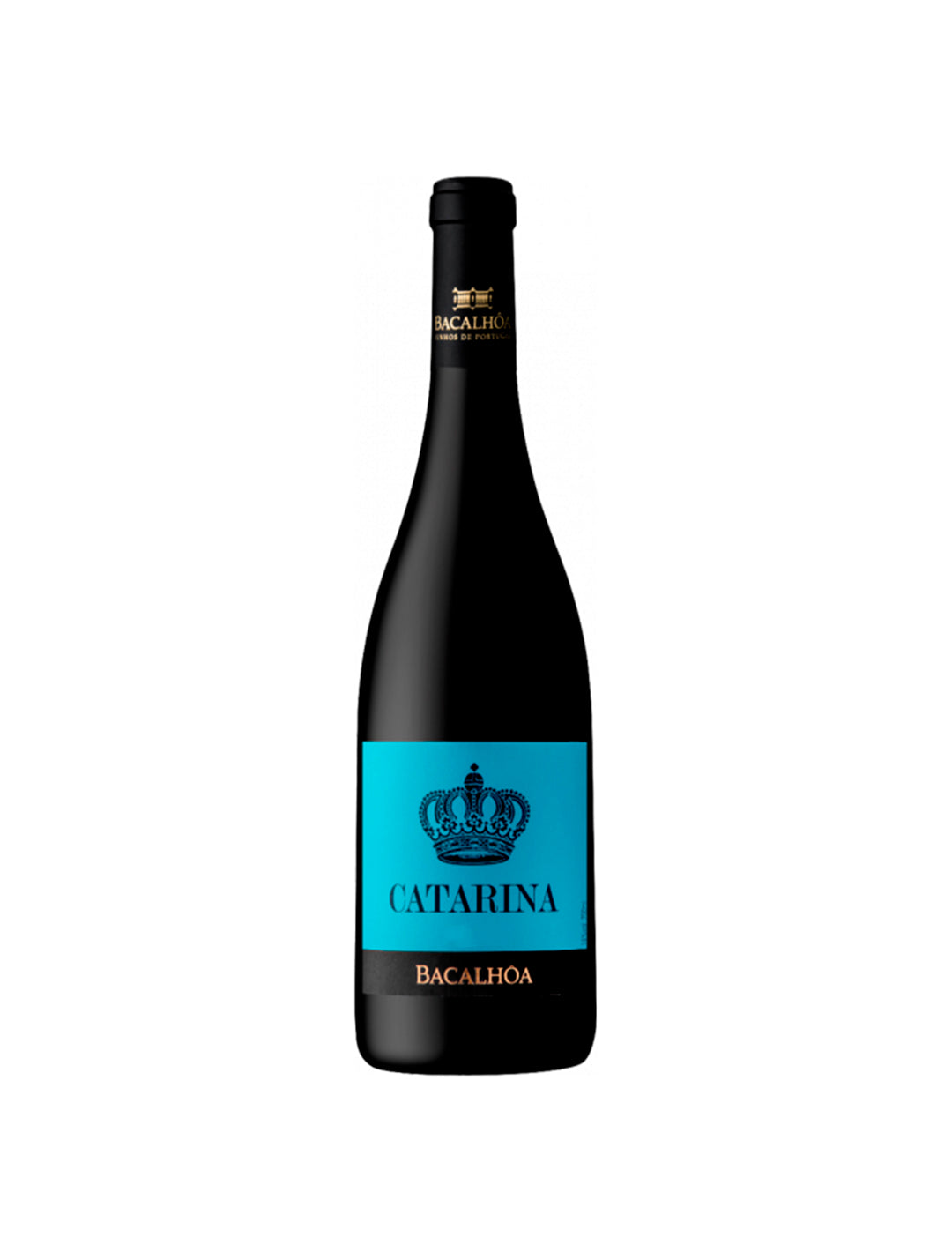 Catarina Tinto