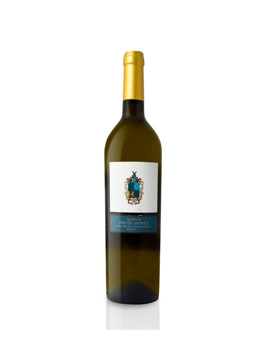 Quinta Foz de Arouce Branco