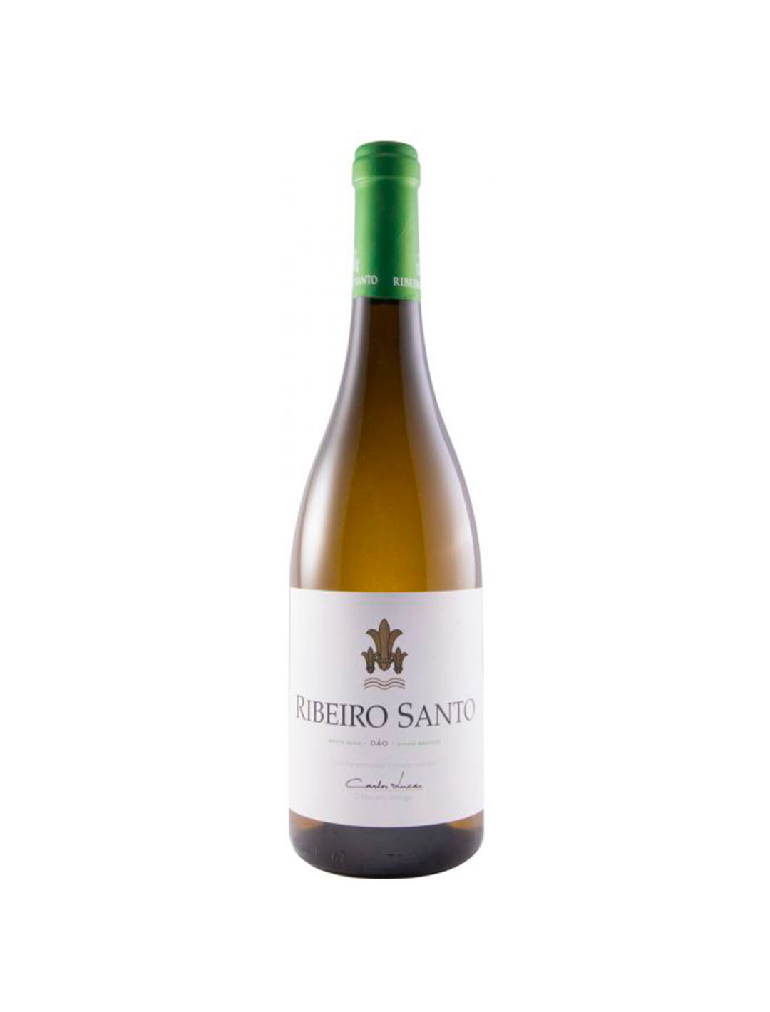 Ribeiro Santo Branco